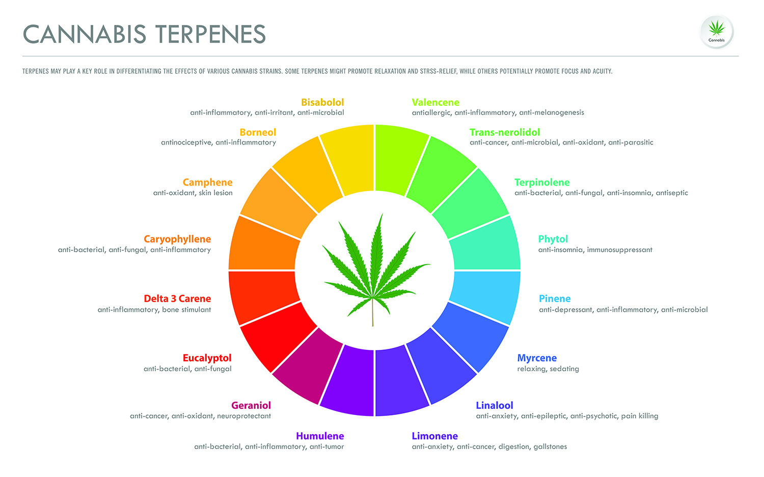 Decarb Without Losing Terpenes